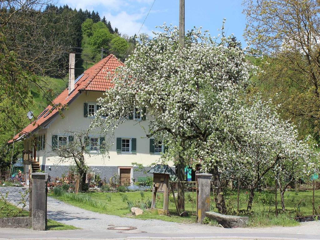 Haus Am Bach Διαμέρισμα Steinach  Εξωτερικό φωτογραφία